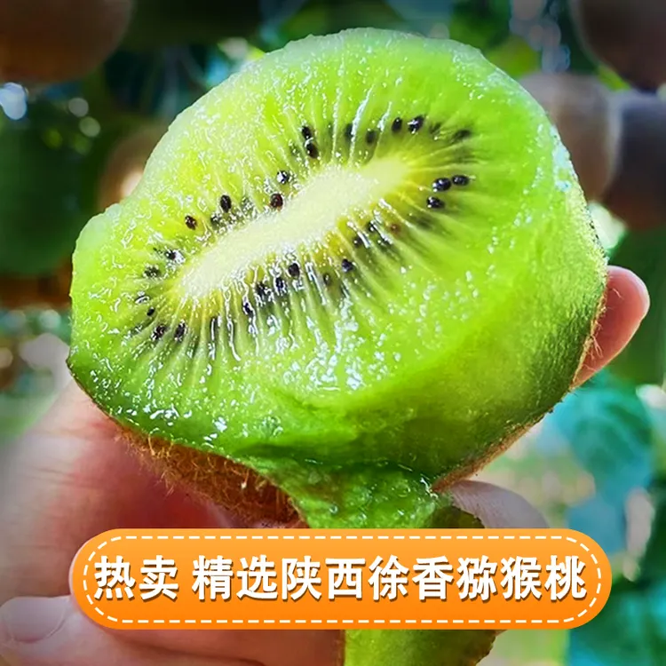 陕西徐香猕猴桃正宗徐香猕猴桃大果新鲜应季维生素c水果直播第一