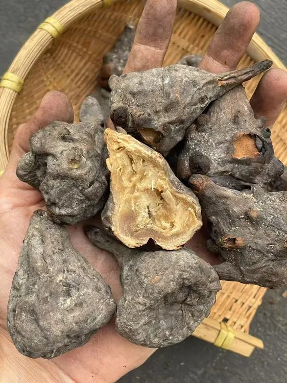 柳木煨炮附道地江油纯有机种植精选大个