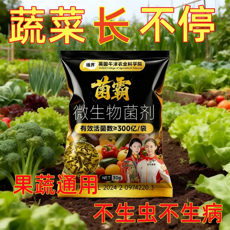 家庭种菜防多种病害叶面肥 促生根膨蒜头增产商品图