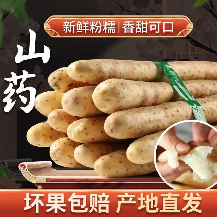 河北特产农产品小白嘴山药新鲜带土软糯香甜现挖现发原产地直发