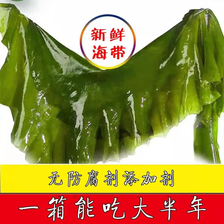 【2025年当季新海带】大连鲜嫩盐渍整颗海带五斤/含包装！
