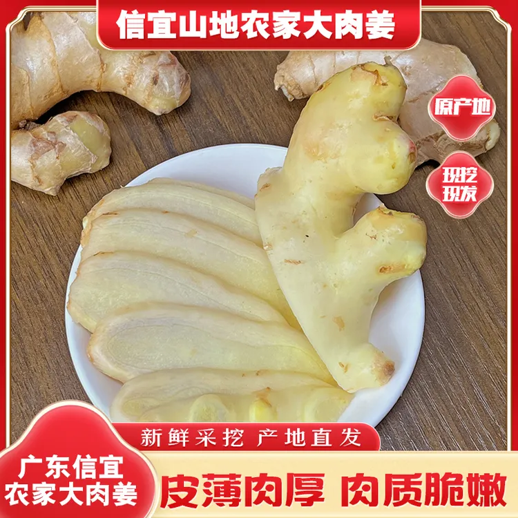 广东大肉姜猪脚姜老姜新鲜不泡药水本地生姜农家高山姜新鲜生姜