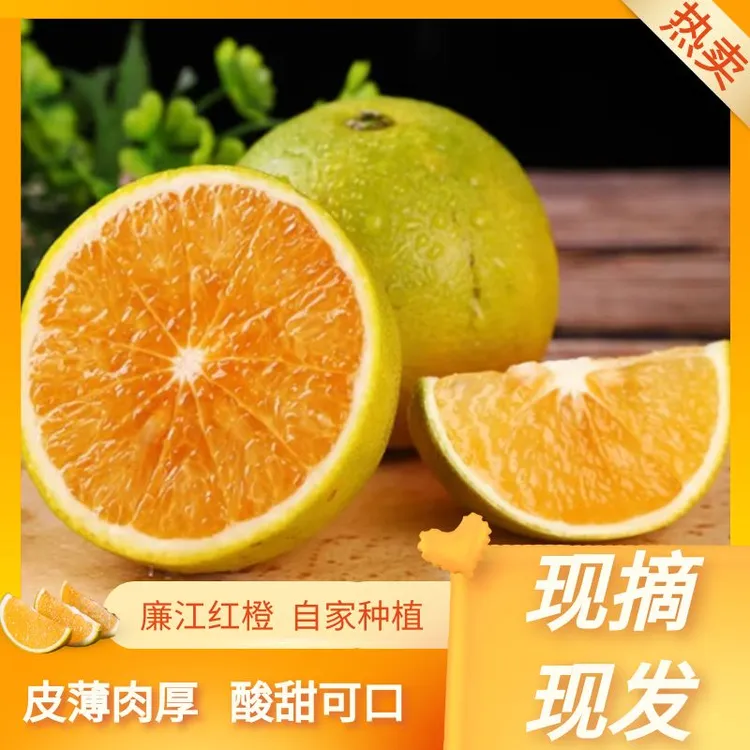 全爸农产品廉江红橙 红江橙新鲜橙子鲜甜多汁  橙香浓郁