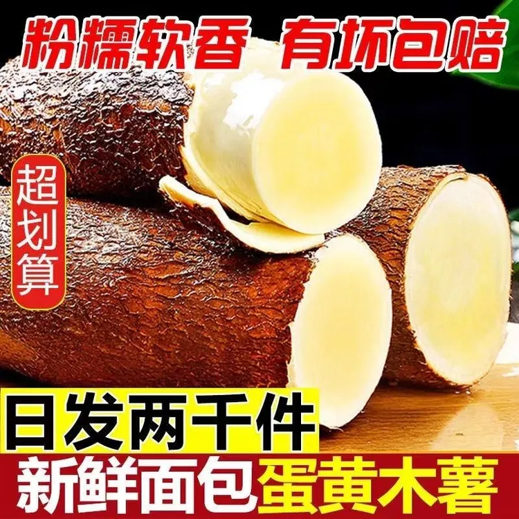 正宗广西黄心木薯新鲜面包蛋黄现挖黄肉特产黄金糖水粗粮板栗包邮