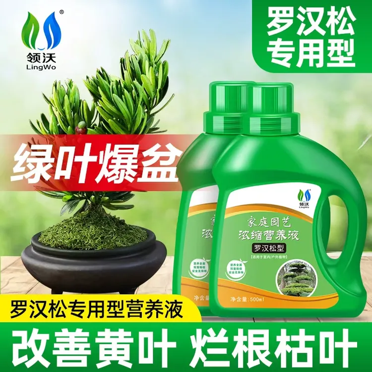 专用营养液植物盆栽发财树室内通用型肥料造景树营养液植物通用型
