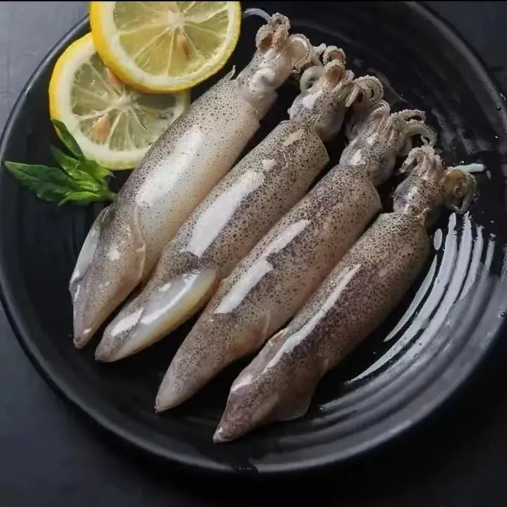 【保鲜不保活】海捕笔管鱼海兔 鲜肥