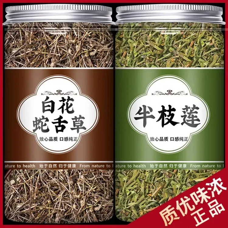 白花蛇舌草和半枝莲材正品泡水非野生百花蛇舌草的功效与作用