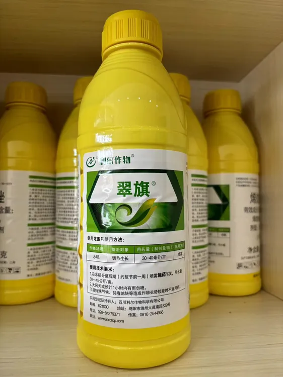 黄瓶瓶翠旗花椒收老叶面肥