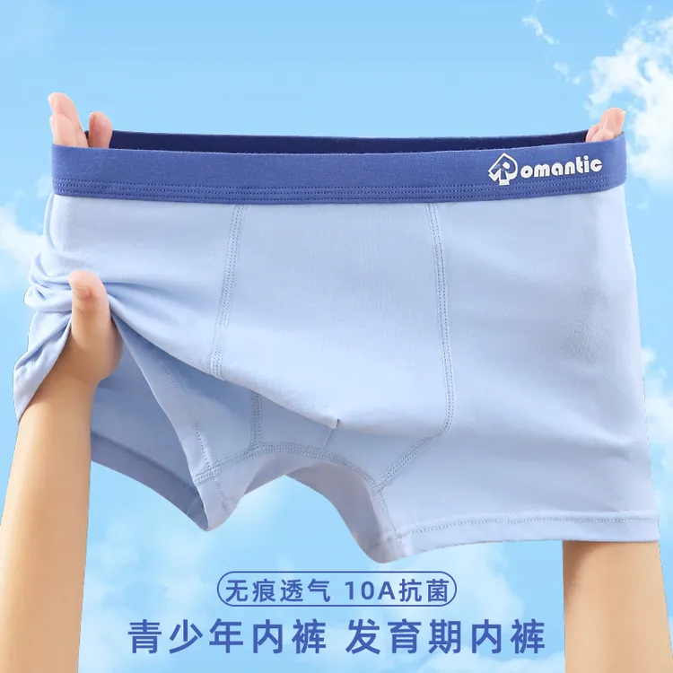 泰恩熊青少年内裤纯棉抗菌平角裤发育学生初高中生胖大童男童内裤