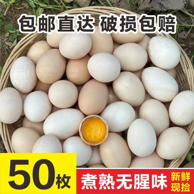 【主播专属】正宗山林散养新鲜土鸡蛋谷物新鲜鸡蛋喂养50枚