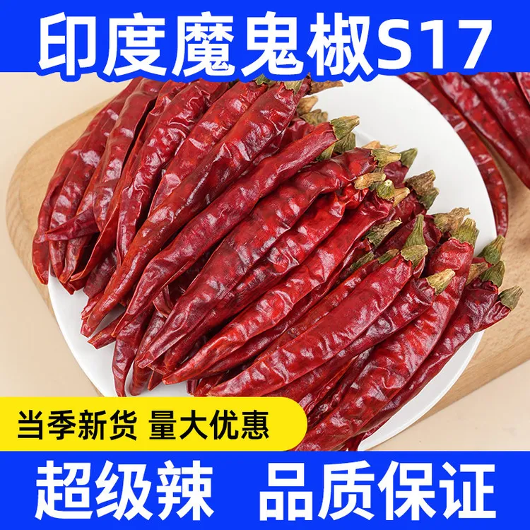 印度S17特辣干辣椒魔鬼辣椒印度魔鬼辣椒卤肉火锅干辣椒2025新货
