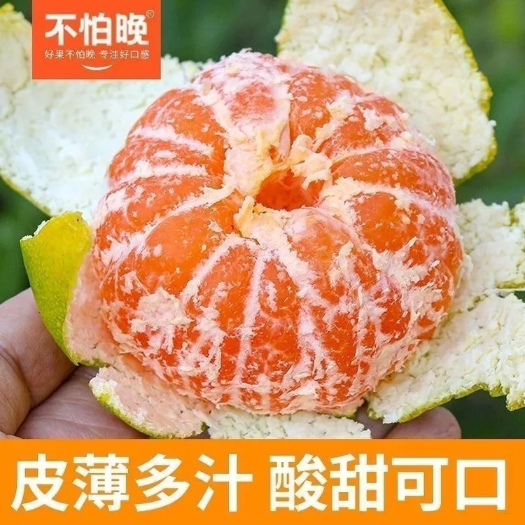 临海涌泉蜜桔早熟优质桔子无核橘子当季水果整箱青皮蜜橘子新鲜