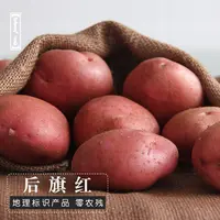 【银行专属】后旗红马铃薯