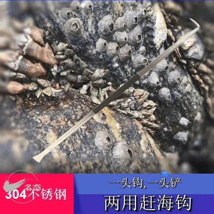 赶海佛手螺藤壶淡菜海红岩石海螺钩子工具铲子敲打锤子挖刨撬