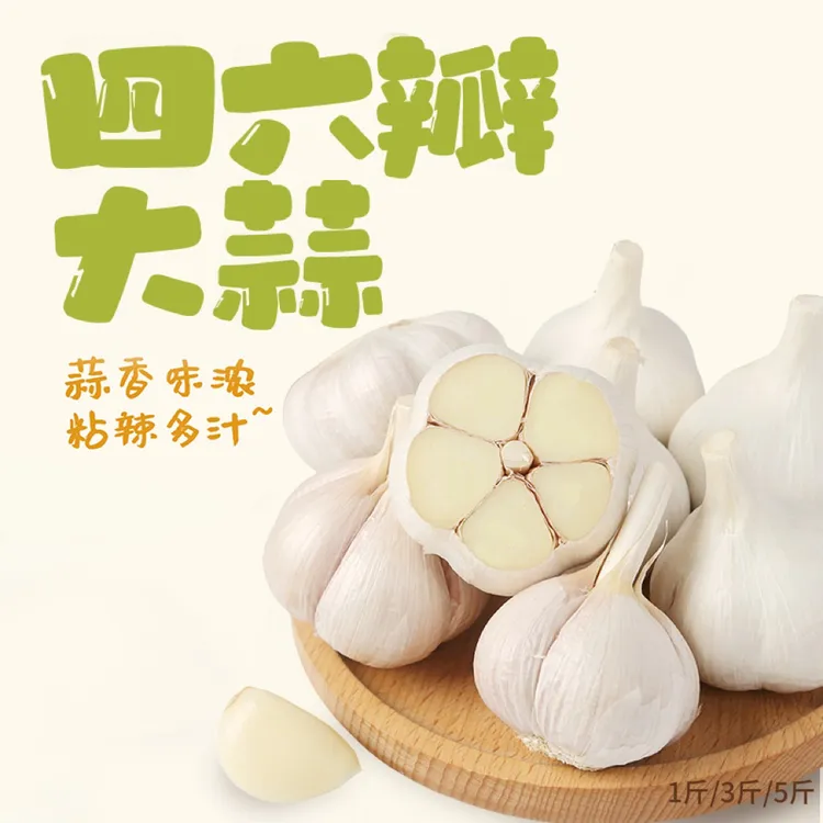 2025年新蒜苍山四六瓣大蒜正宗山东白皮香蒜1斤3斤5斤