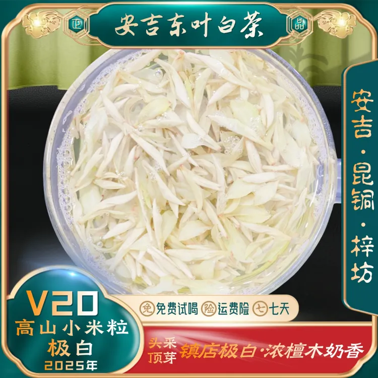 【高山小米芽极白V20】2025新茶特级安吉白茶昆铜新安四号浓檀木香