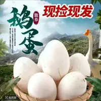 【买六枚送六枚】土鹅蛋农家散养鹅蛋雁鹅蛋新鲜现捡80克左右