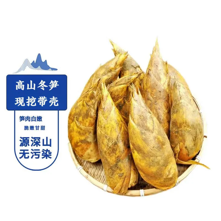 【2026现挖新笋】乐安带壳冬笋新鲜两头尖江西黄泥拱高山野笋嫩笋