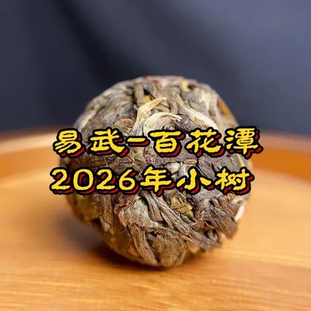 （仅剩3颗）2026年易武百花潭小树茶龙珠8克1颗普洱茶生茶回甘好
