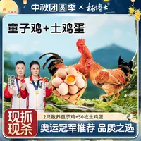 【两只童子鸡+50枚土鸡蛋】杨博士土鸡皖南散养新鲜 包冰率不含冰