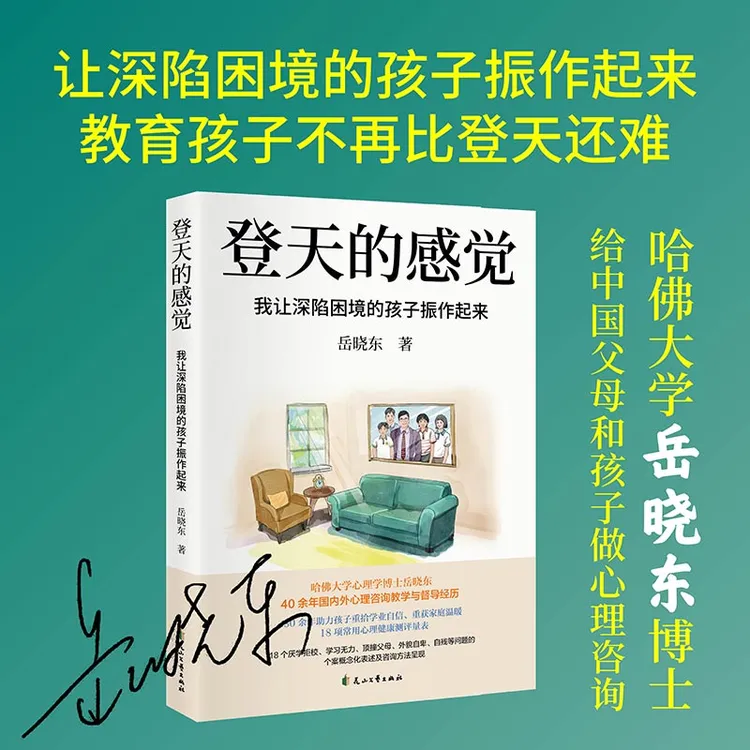 登天的感觉（印签版）：我让深陷困境的孩子振作起来 岳晓东