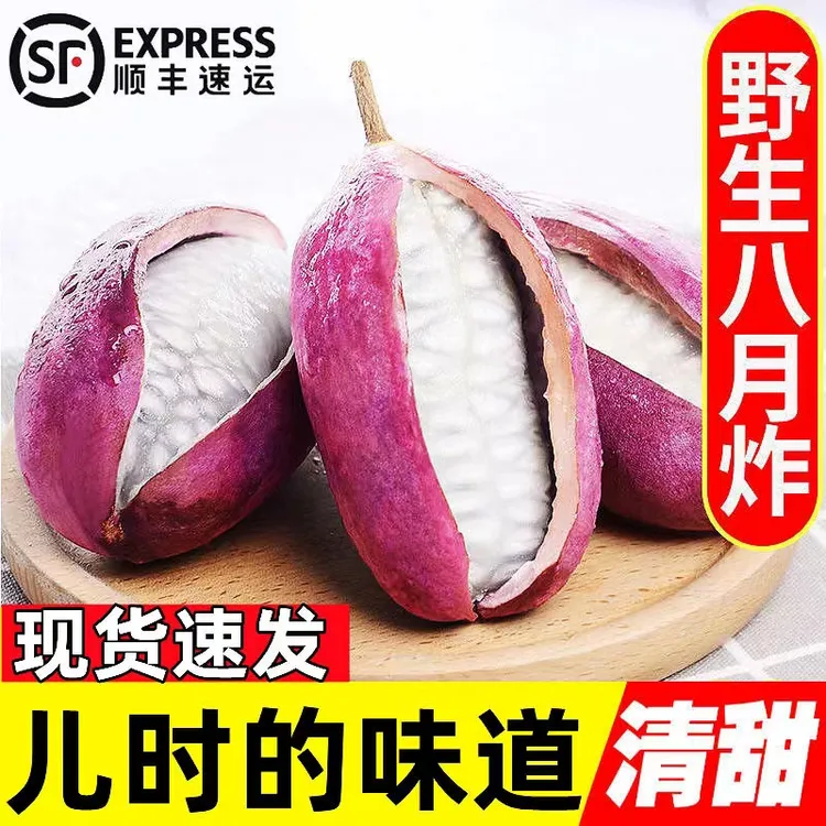 [顺丰包邮】野生八月瓜福建新鲜8八月炸预知子网红水果现摘木通果