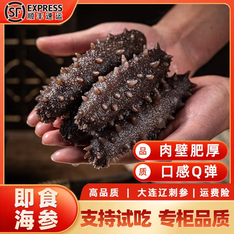 【破价福利】6-8头口感Q弹即食海参大连深海辽参500g孕妇儿童营养