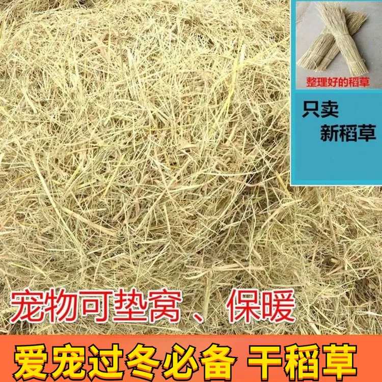 干垫料窝天然秸秆草狗窝草干草稻草鸡兔子宠物垫稻草禾杆过冬