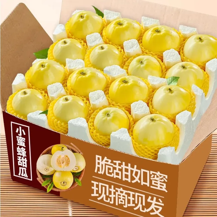 【超级甜】山东小蜜蜂甜瓜正宗星甜20小香瓜小蜜罐新鲜应季水果商品图