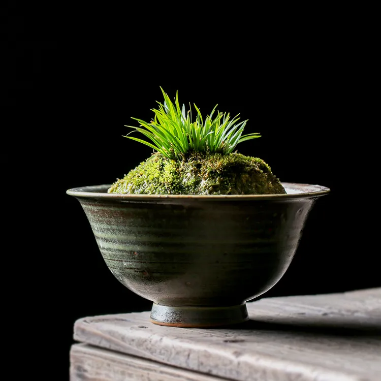 日式高脚手工花盆菖蒲蕨类小原流剑山碗斗笠水培竹子陶瓷插花器皿