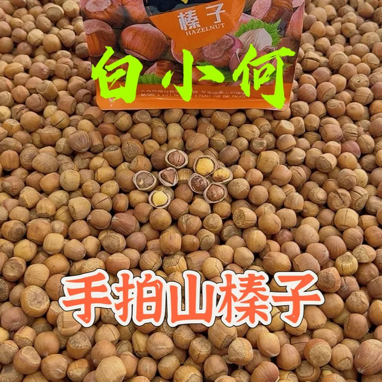 手拍山榛子（熟）水漏榛子1.3厘米以上