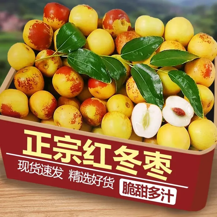 正宗山东沾化冬枣新鲜大枣鲜枣水果枣子脆枣产地直发