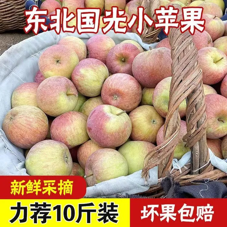 【顺丰包邮】正宗国光苹果新鲜应季酸甜可口怀旧稀有小苹果