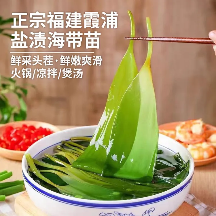 延海线直发霞浦盐渍海带嫩苗营养凉拌火锅煮汤鲜嫩脆爽500g*3