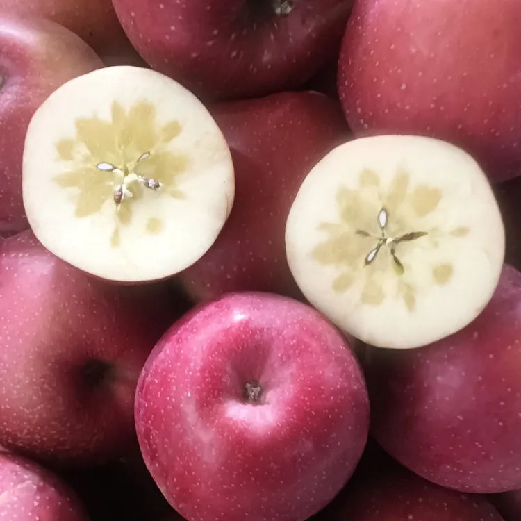 四川汉源高山冰糖心丑苹果红富士脆甜多汁新鲜现摘水果