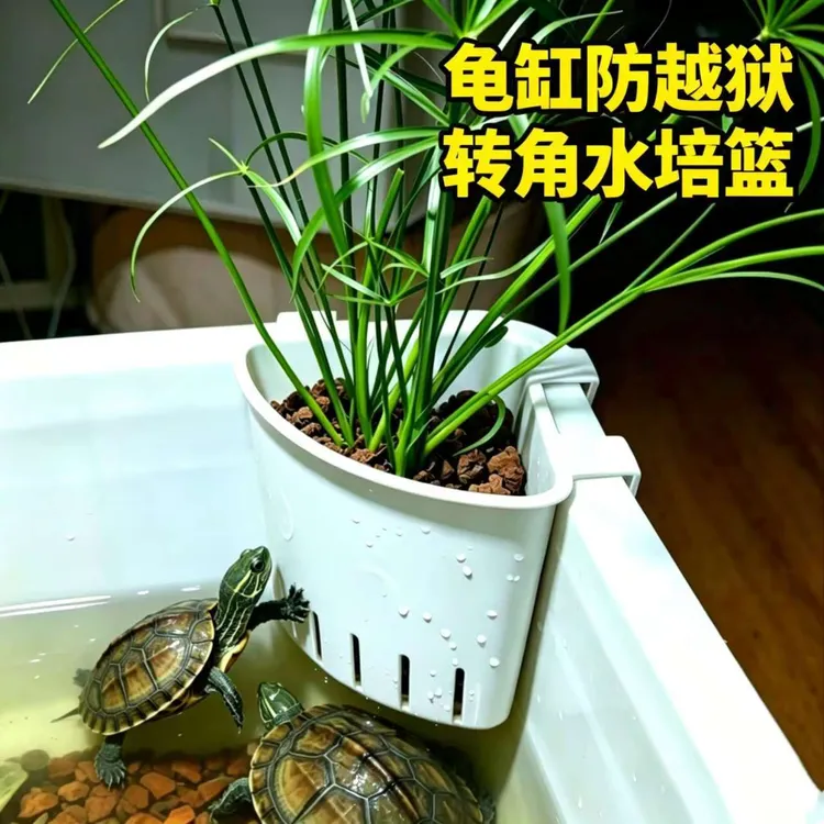 乌龟缸防逃壁挂水培篮鱼缸绿萝定植篮水草杯周转箱养龟防越狱造景