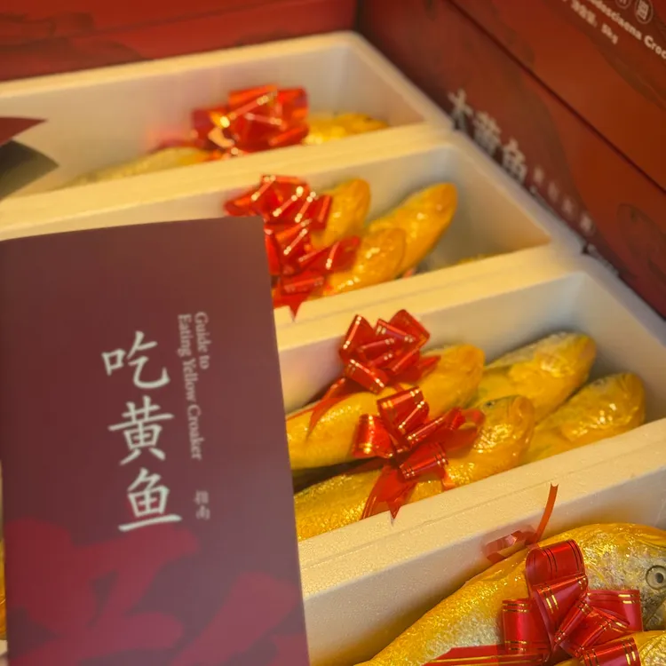 优质的野化大黄鱼