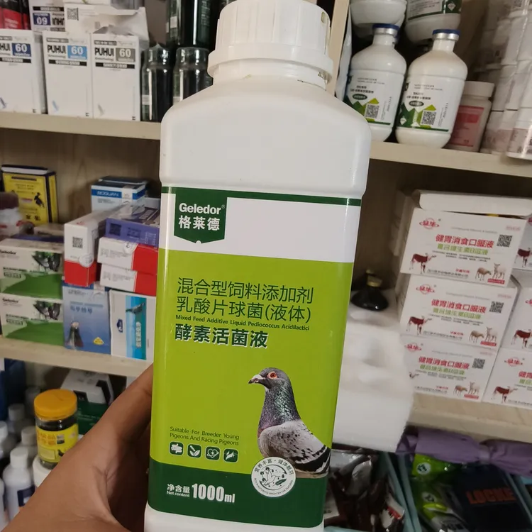 ALTunToga新疆蓝鸽 HUOJUN