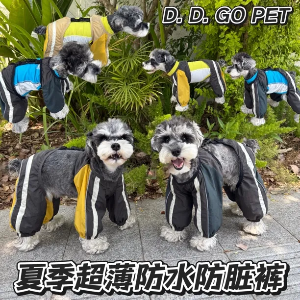 狗狗衣服四脚防脏裤雪纳瑞比熊泰迪柴犬西高地三防