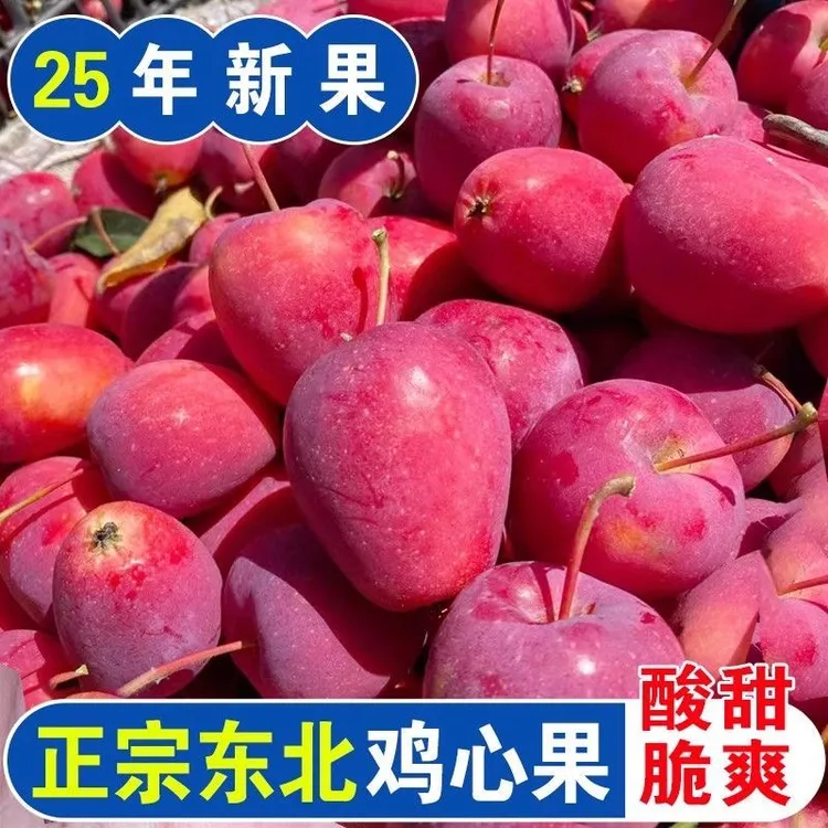 东北特产鸡心果新鲜现采现摘清脆爽口酸甜多汁水果
