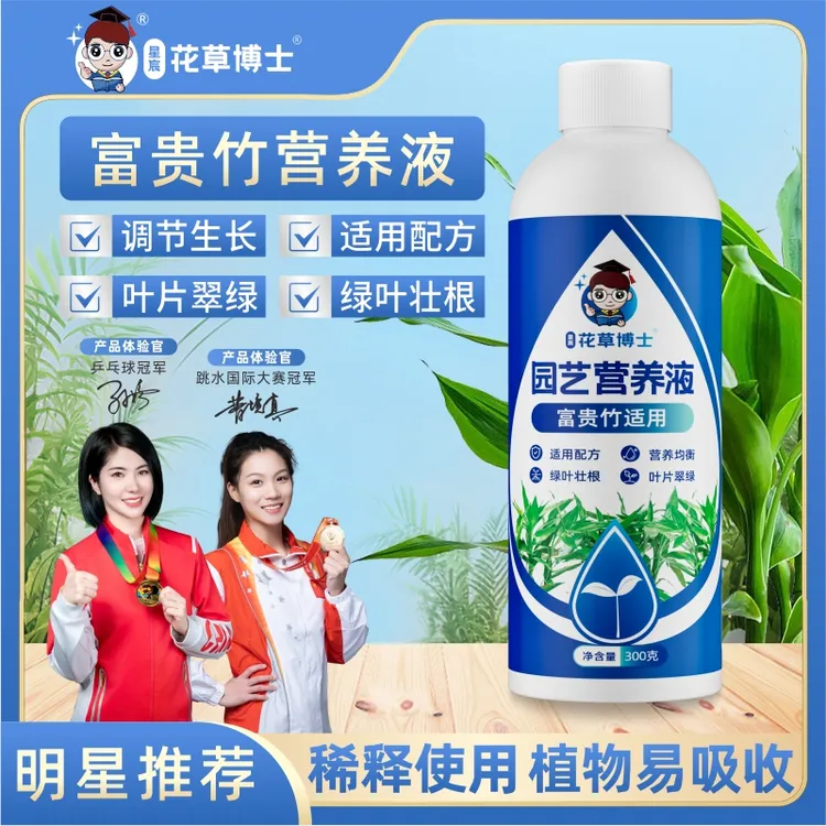 富贵竹适用养花营养液改善土壤环境促进植物生长园艺养花营养液商品图