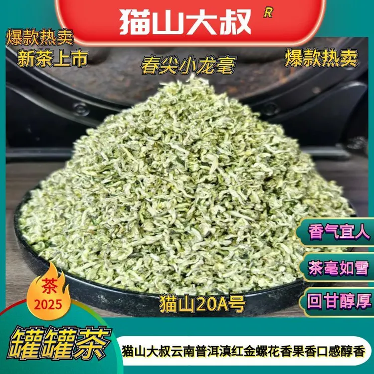【猫山20A号】2025新茶云南春尖小龙毫单芽西北甘肃罐罐茶