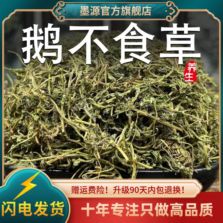 鹅不食草中药材新鲜鹅不食鹅不吃草石胡荽新干货可打鹅不食草粉末