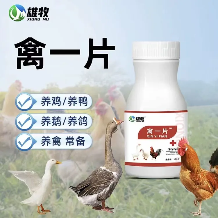 雄牧禽一片鸡鸭鹅养殖通用的畜牧饲料添加剂养殖四季必备厂家直销