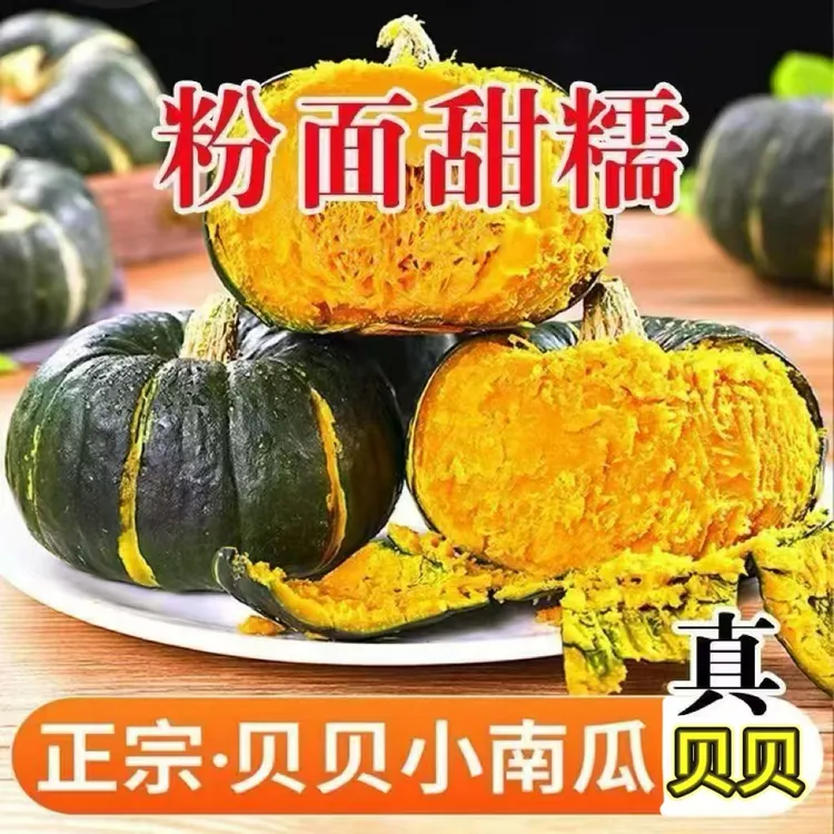 贝贝南瓜板栗味粗粮婴儿辅食粉面香甜小南瓜3斤4.5斤