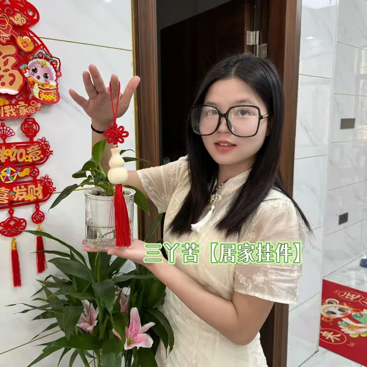 【吴川文艺全部老师傅】三丫苦葫芦 居家摆件创意家用