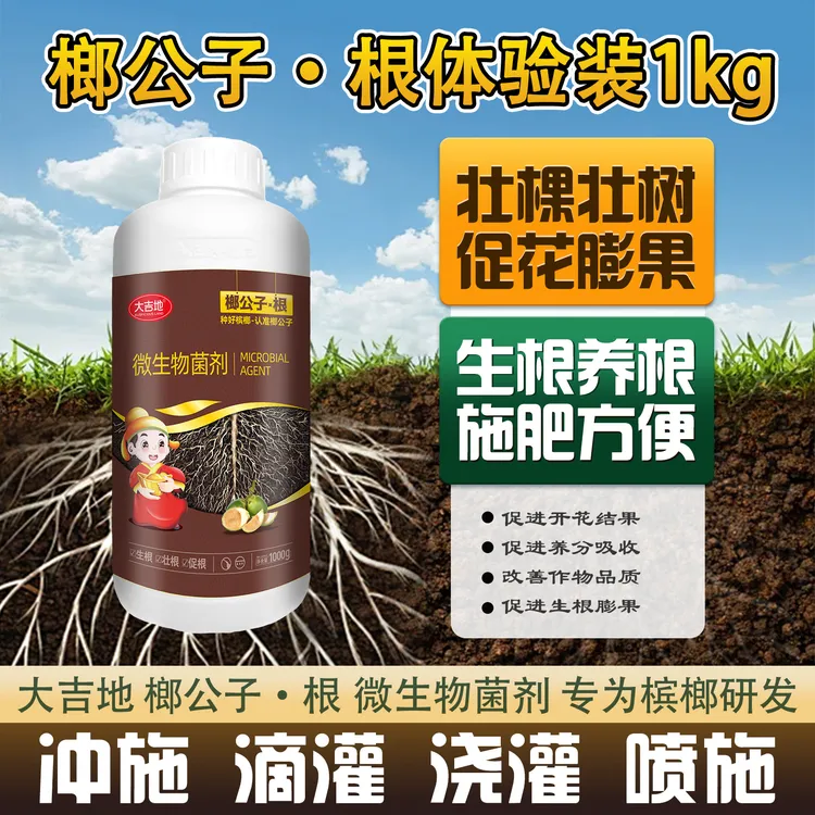 大吉地【榔公子根】生根养树预防黄叶黄化防治根腐褐根烂根肥全水溶