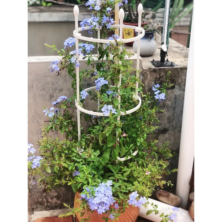 花架爬藤架子铁线莲月季花支架花盆植物攀爬支架室内固定花支撑杆
