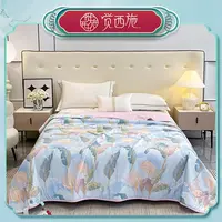 【娜娜音乐节】觉西施*A类抑菌氨基酸凉感被仲夏夜