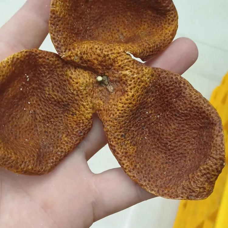 广西陈皮2024年原枝大红皮新会正宗自然生晒纯干仓